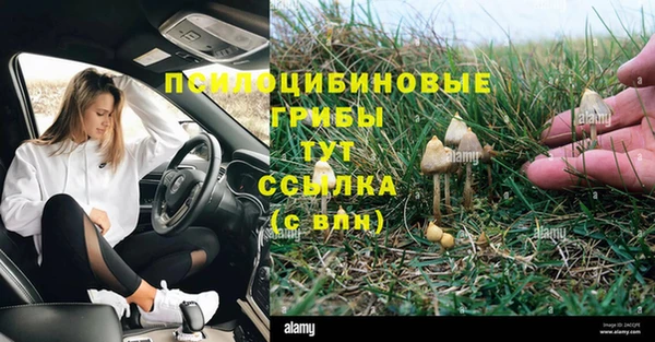 а пвп мука Аркадак